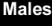 MALES.png